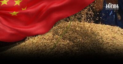 จีน จี้ ไทยส่งข้าวแสนตัน คาดล็อตแรกสิ้นปี-มี.ค.69 10 อันดับข้าวจีไอ 3 ไตรมาสทำเงิน 8 พันล้าน