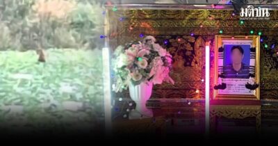 ลูก5คน ร่ำไห้ขาดเสาหลัก พ่อถูกพิตบูลขย้ำ ดับสลดในป่าสัก เจ้าของหมาไร้เยียวยา พิตบูล