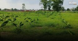 มหาดไทย ขยายเวลาเก็บภาษีที่ดินอีก 2 เดือน เริ่มจ่าย มิ.ย. 2569 ผ่อนได้ 3 งวด