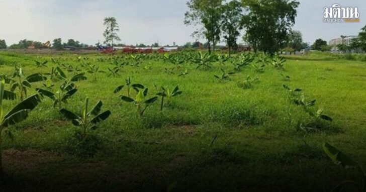 มหาดไทย ขยายเวลาเก็บภาษีที่ดินอีก 2 เดือน เริ่มจ่าย มิ.ย. 2569 ผ่อนได้ 3 งวด