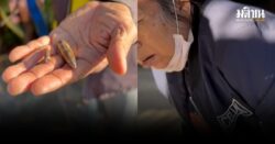 หญิงสูงวัย ชาวไทย ถูกลูกหลง กระสุนปืนเหตุปะทะเมียนมา-กะเหรี่ยง โดนต้นขา 1 นัด ระหว่างนอน