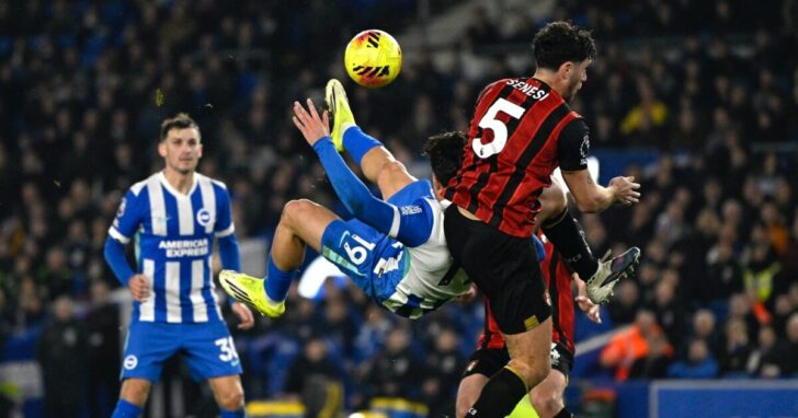 Premier League - Brighton & Hove Albion v AFC Bournemouth