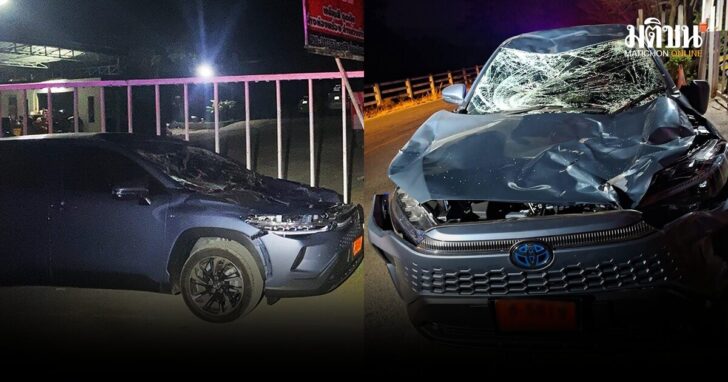 SUV ป้ายแดง ชนกระทิง