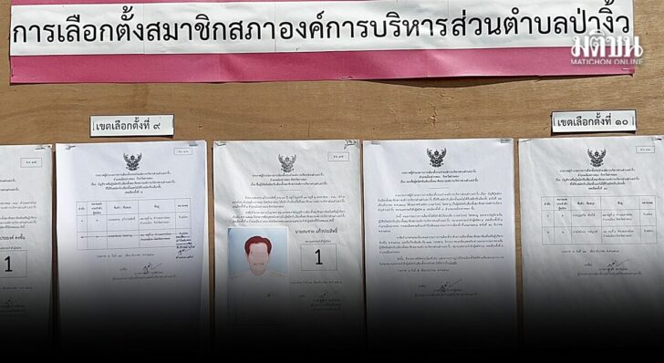 vote No6