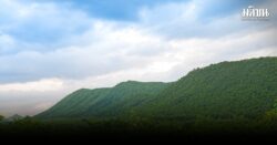 เพราะมหา’ลัย คือพิมพ์เขียว ‘Net Zero Campus’ เดินนำ ทำให้เห็น การศึกษาดีส่งผล พาชุมชนลดมลพิษได้จริง