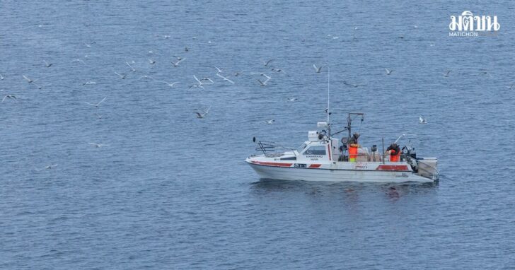 Freezers full of seal meat: How Greenland's hunting culture helps emergency preparedness