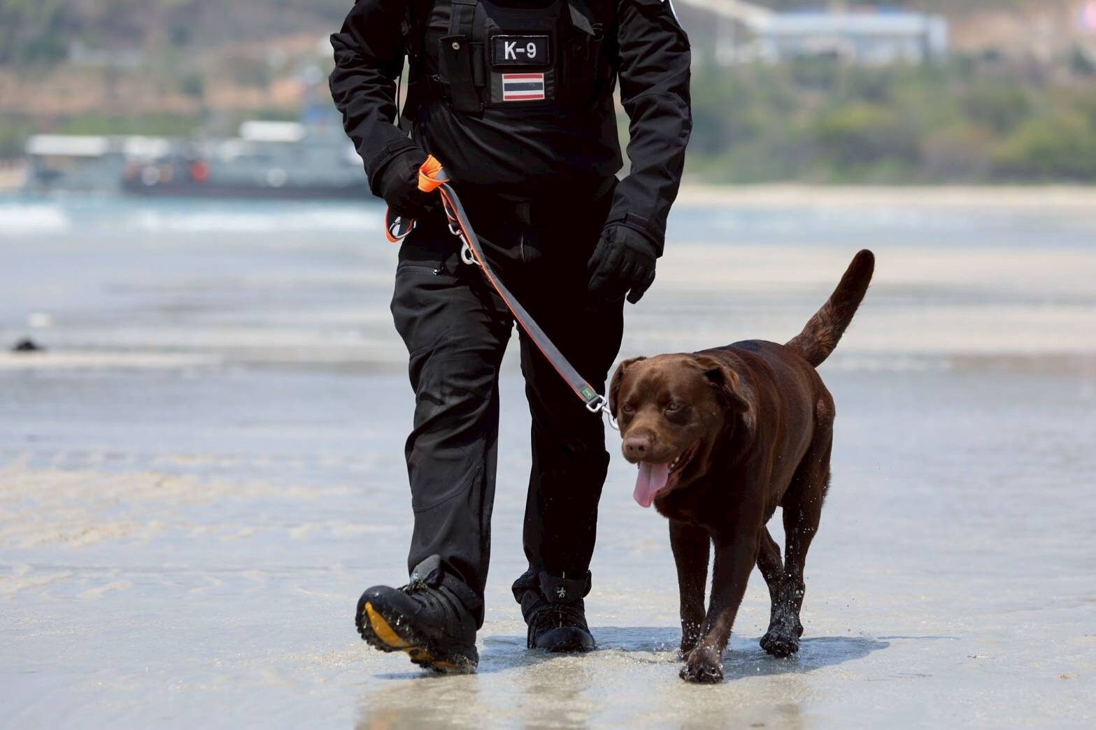 MI-6