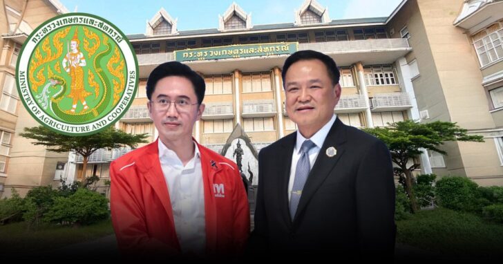 ddf5 wed เพื่อไทย