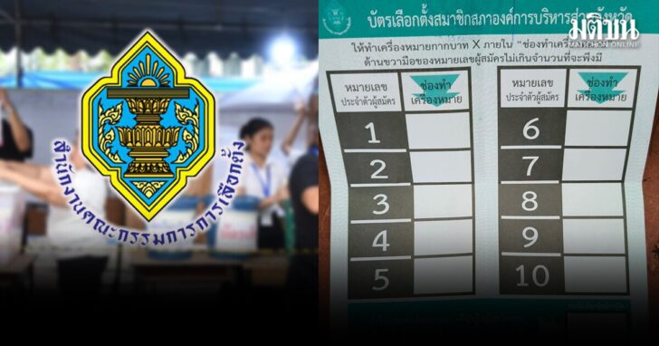 ddf8 wed บัตรเลือกตั้ง