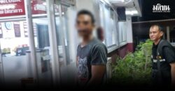 น้องยิงพี่ดับ