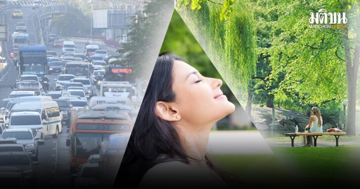 ปก แชร์