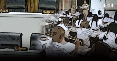 นโยบายไม้ประดับ