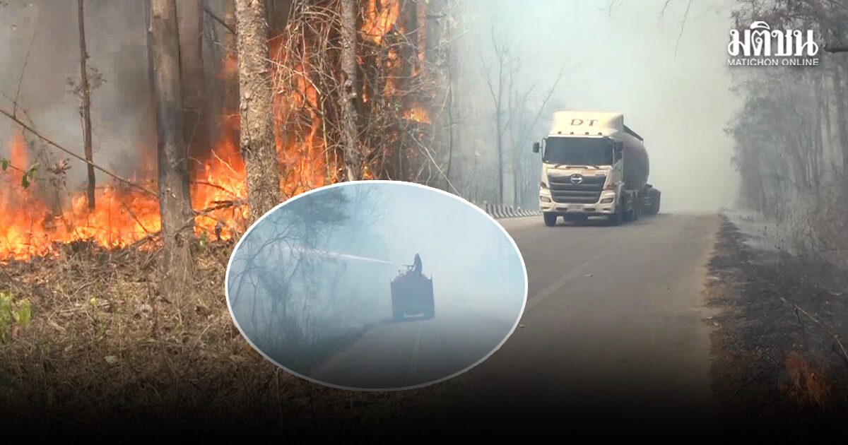 เผาหาของป่า-เก็บไข่มดแดง ไม้ใหญ่โค่นเกี่ยวสายไฟดับ 3 อภ.