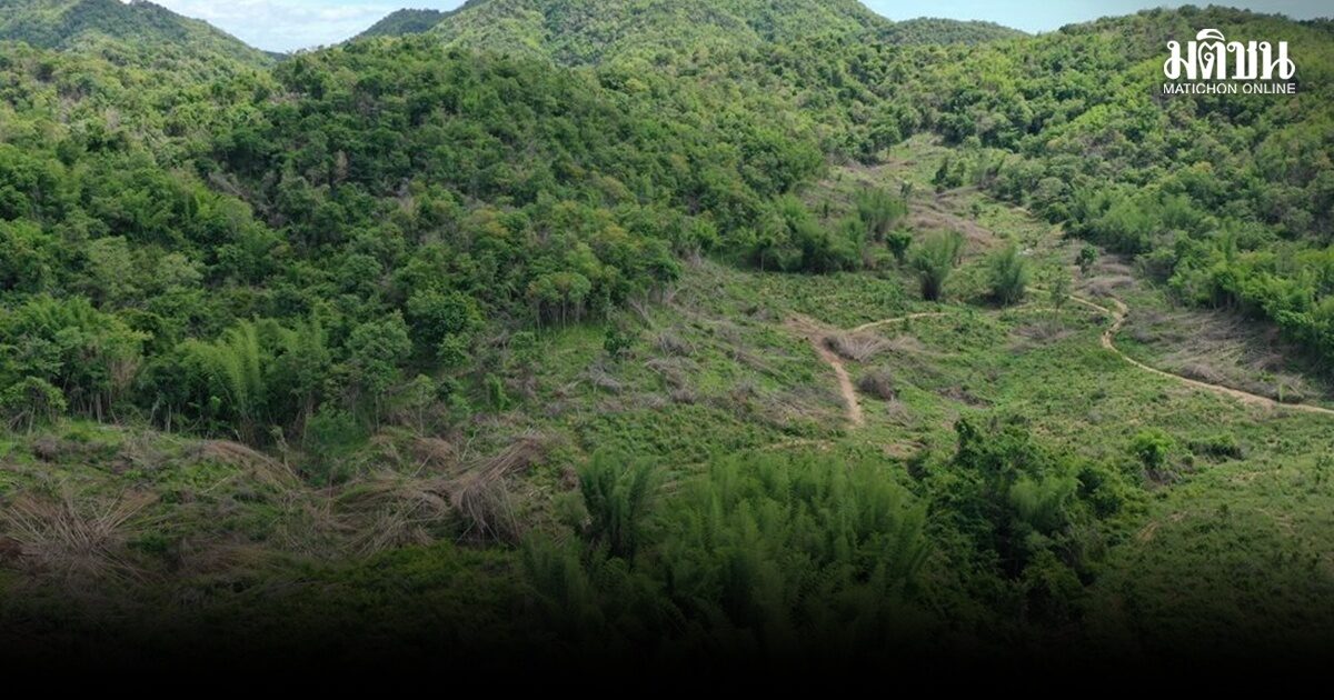 ทส.ดีเดย์ สางปมคำขอใช้พื้นที่ป่า ติวเข้ม ส่วนราชการทั่วประเทศทำให้ถูก ตามมติ ครม.