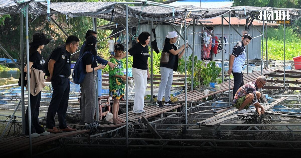 ตรวจเยี่ยมแหล่งผลิต ปลาแรดลุ่มน้ำสะแกกรังอุทัยธานี ยกผู้ประกอบการรวมกลุ่มเข้มแข็ง