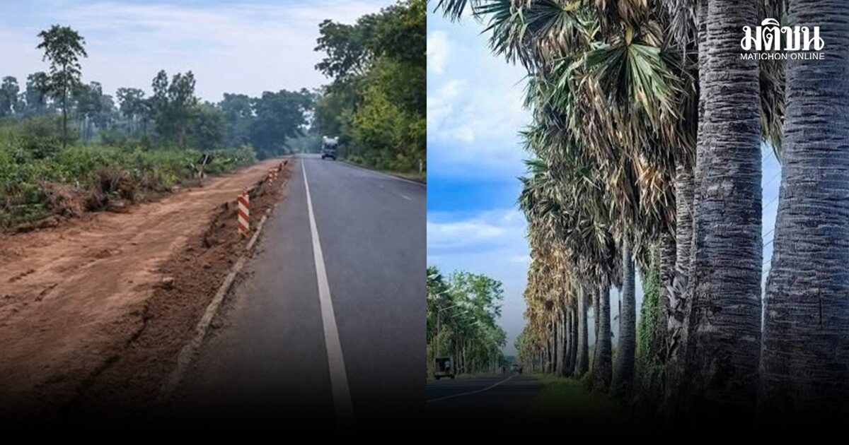 วันชัย ตัน โพสต์เดือด หน่วยราชการปัญญาอ่อน โค่นเหี้ยน ต้นตาลริมถนนต้นตาลดาบวิชัย ที่อดีตนายตำรวจชื่อดังปลูก