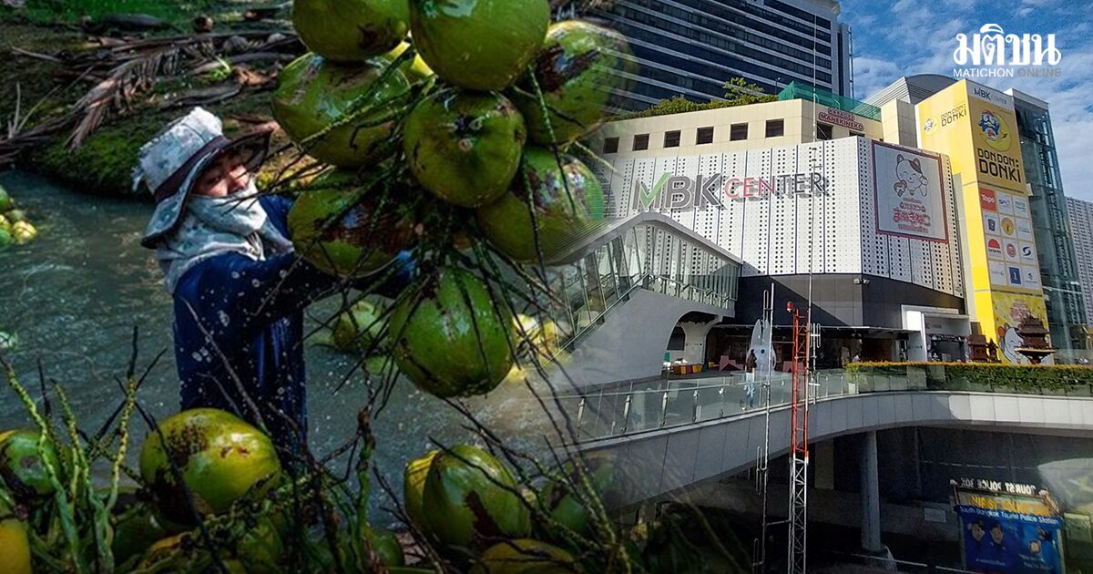 ช่วยชาวสวน MBK แจกมะพร้าวน้ำหอม 10,000 ลูก พร้อมดื่ม 4 โมงเย็นวันนี้