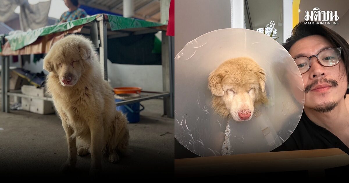 Heartwarming Film ‘Gohang..Heart of Gohome’ Set to Premiere on April 2