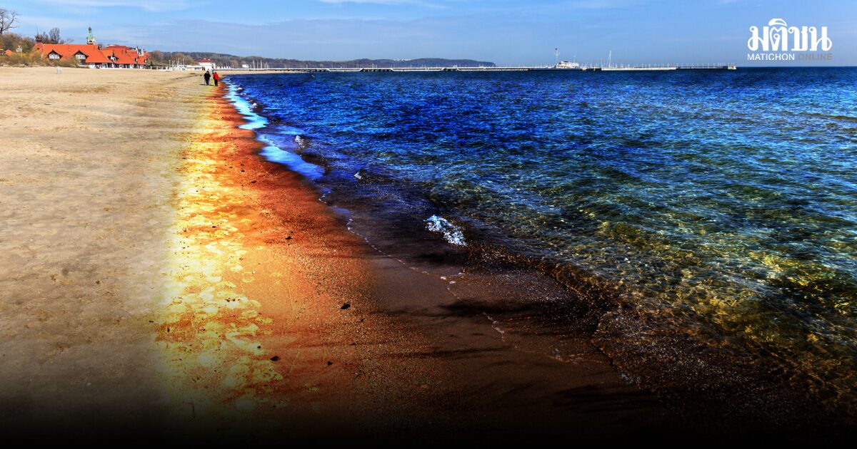 ทะเลไม่เคยรบ แต่ได้รับผลจากสงคราม เปิดผลกระทบสิ่งแวดล้อม ที่กินเวลายาวนานเป็นศตวรรษ