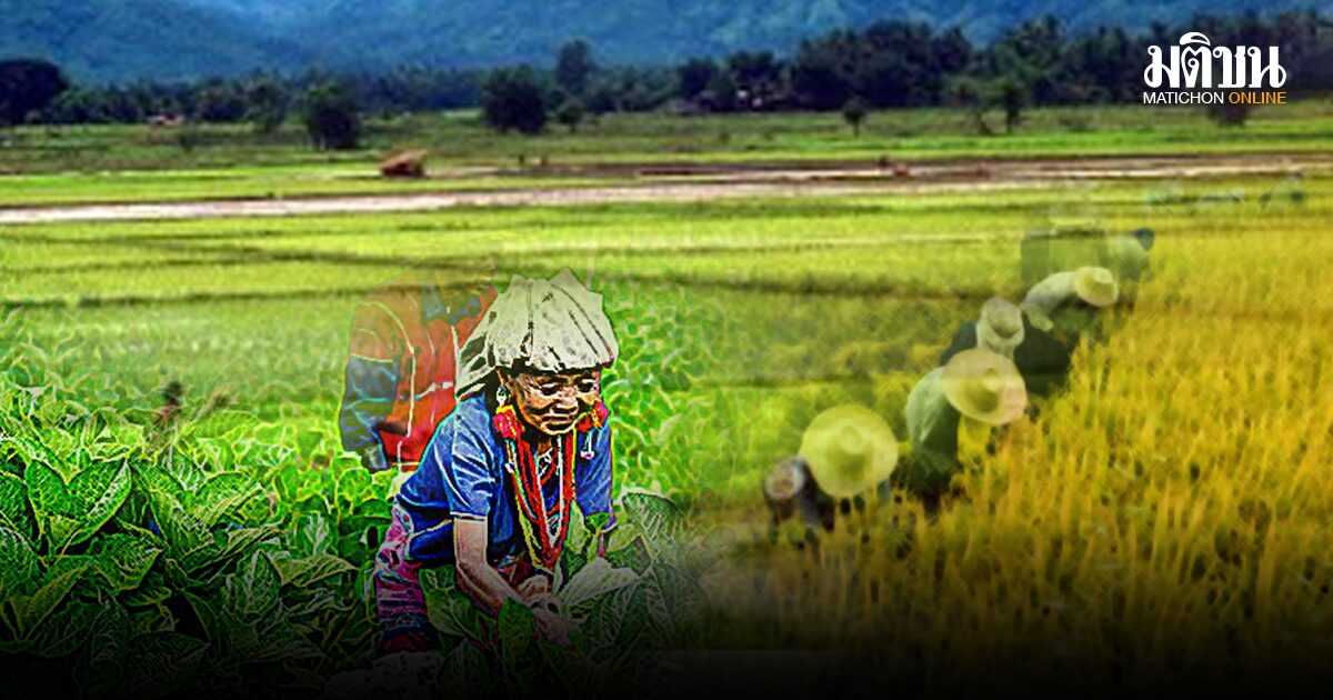 ยามมองอนาคตไม่ออก ได้แต่บอก ‘ชั่ง/ช่าง’ หัวมันกระนั้นหรือ?