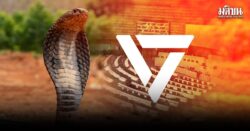 งูเห่าสีส้ม