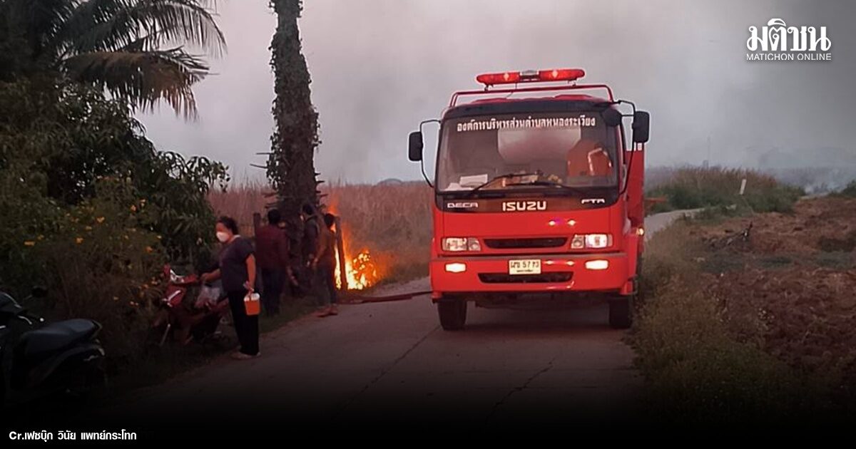 ชาวโคราช เผชิญเหตุไฟป่า ลักลอบเผาเดือดร้อน 2 อำเภอ