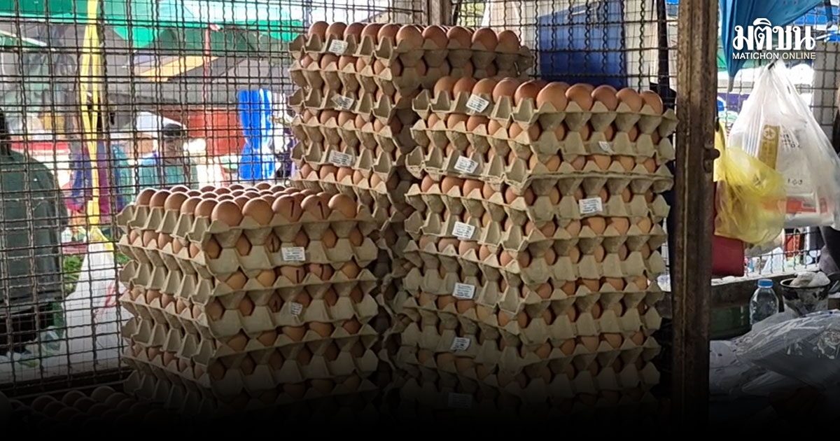 พิษน้ำมันแพง! ดันไข่ไก่พุ่งแผงละ 16 บาท คาดสงกรานต์จ่อขึ้นอีก