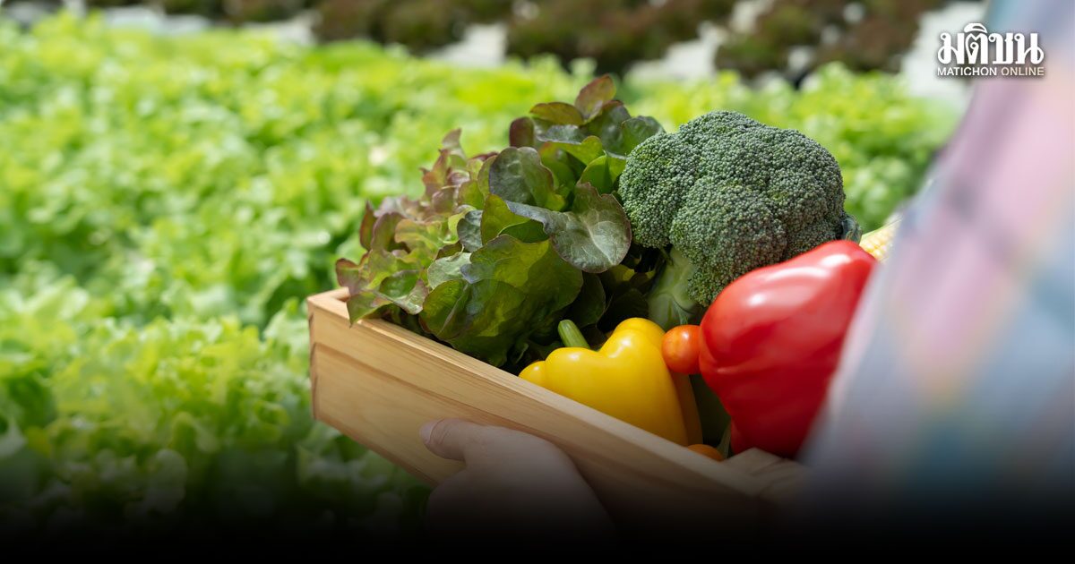 ตลาดเกษตรอินทรีย์โลกพุ่งไม่หยุด ทุบสถิติ 157,000 ล้านดอลลาร์ โตสวนเศรษฐกิจผันผวน