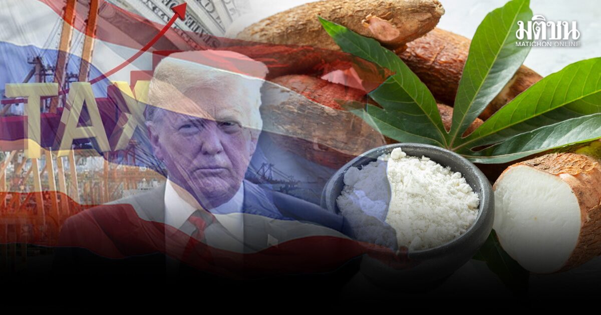 พาณิชย์ ชี้เป็นโอกาส เร่งส่งออกแป้งมัน อาศัยช่องว่าง ศาลสูงสหรัฐ สั่งชะลอภาษีทรัมป์