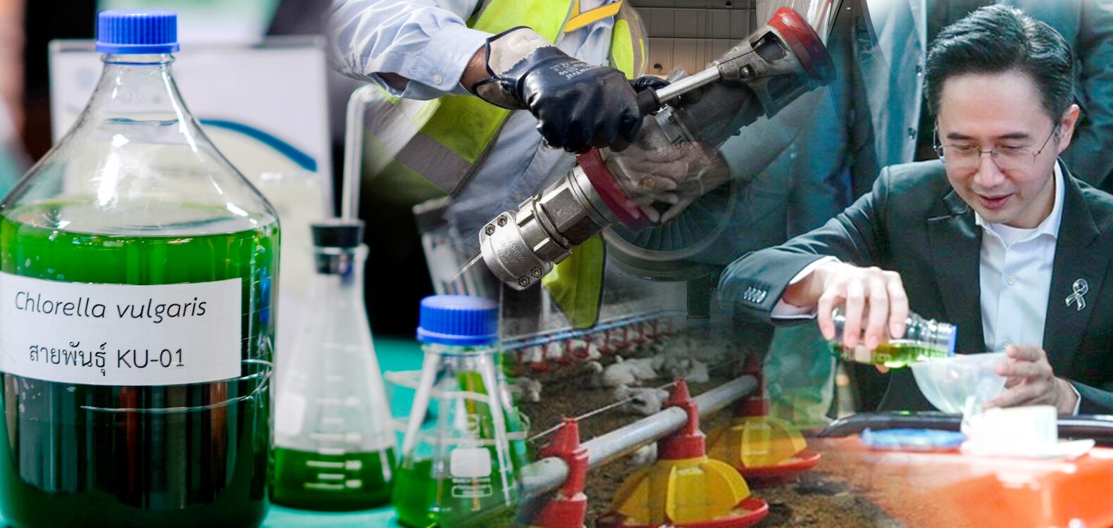 รายงาน :  ‘จุลสาหร่ายKU01’ ทางเลือกใหม่เกษตรมูลค่าสูง