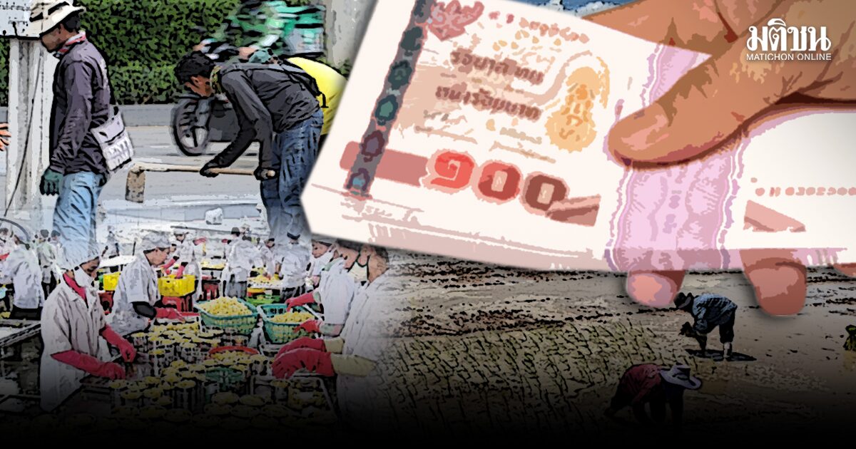 ทุนมนุษย์ การเลือกอาชีพ และความเหลื่อมล้ำค่าจ้าง