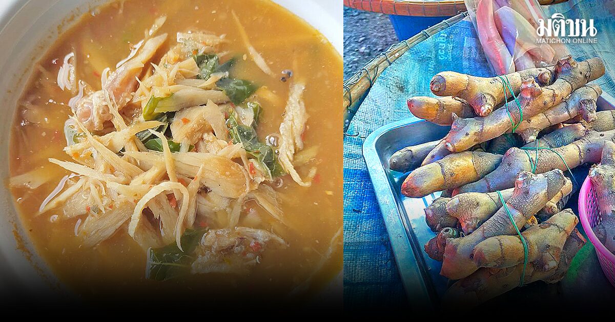 แกงหน่อเอื้อง ของอร่อยคนท่าตะโก