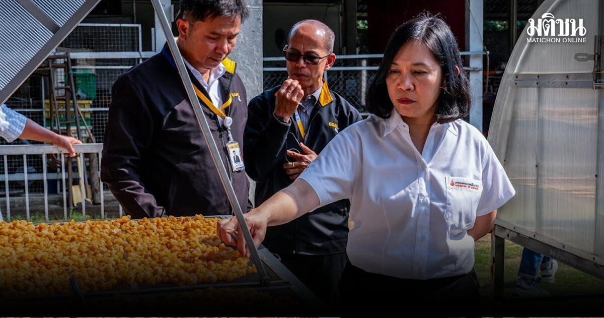 พลังงาน-กฟผ. ช่วยชุมชนปั้น “ลำไยอบแห้งสีทอง” เข้าปั๊ม PT ยอดขายทะลุล้าน