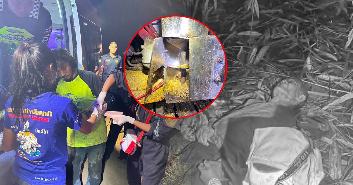 ระทึก รถเกี่ยวข้าวดูดแขนเกือบขาด-‘ผู้เฒ่า’ วูบดับกลางป่า