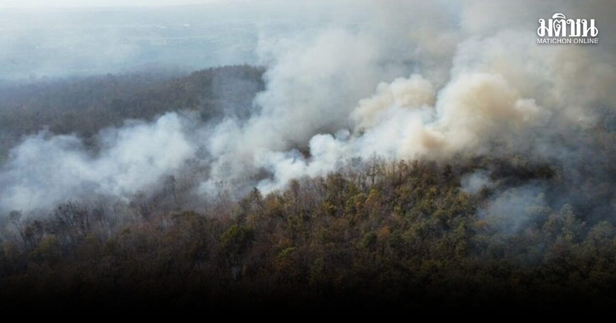 ฝุ่นจากป่าร้ายกว่าจราจร-อุตสาหกรรม10เท่า ยิ่งลอยไกล ยิ่งเล็ก ยิ่งกลม เจาะลึกเข้าถุงลมปอด-กระแสเลือดง่าย