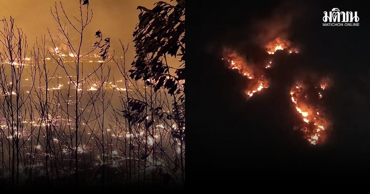 สุราษฎร์ระทึก ฟ้าผ่ากลางดึก ทำไฟไหม้ยอดเขา จนท.รุดระงับ เช้านี้ยังคุมเพลิงไม่ได้