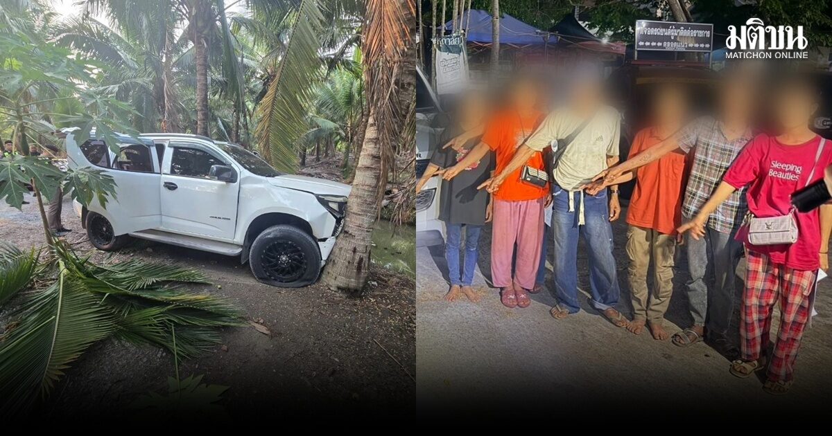 รวบกระบะฝ่าไฟแดง 3 แยก เสียหลักพุ่งชนต้นมะพร้าว ขนแรงงานเถื่อนอัดแน่น 11 คน