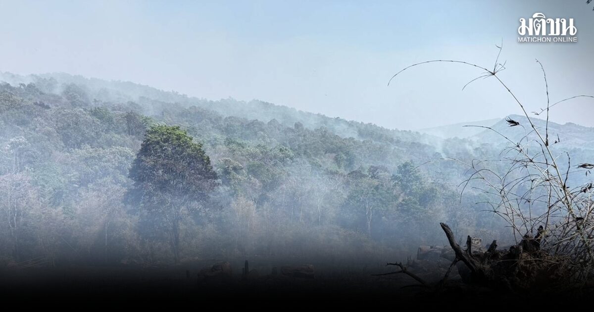เลยไฟป่ายังโหมกระหน่ำตามยอดภู  ไม่สามารถควบคุมได้ หมอกควันคลุมทั้งเมือง จนท.เร่งทำแนวกันไฟ