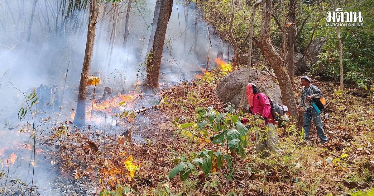 วิกฤตไฟป่า  ฝีมือมนุษย์ เผาหนัก ทำลำปางจมฝุ่นมานานเกือบ 2 สัปดาห์