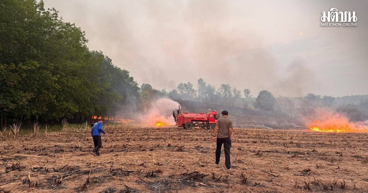 เผาไม่หยุด จังหวัดเลยค่าฝุ่นพุ่งแตะระดับแดง 78.2 อยู่เกณฑ์กระทบต่อสุขภาพ
