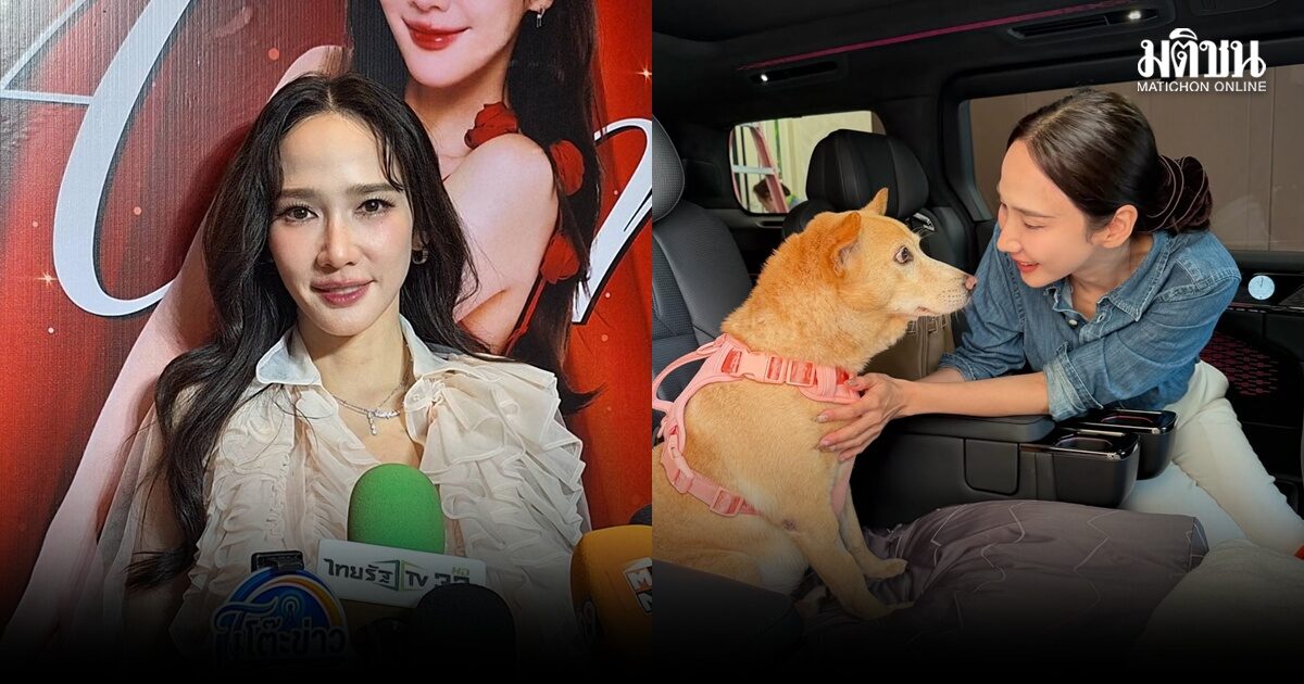 อั้ม พัชราภา น้ำหนักลดฮวบ ทุ่มเวลาดูแลสุนัขป่วย ไม่หวั่นค่าไฟแพง ขอเปิดแอร์เซฟชีวิตน้องๆ