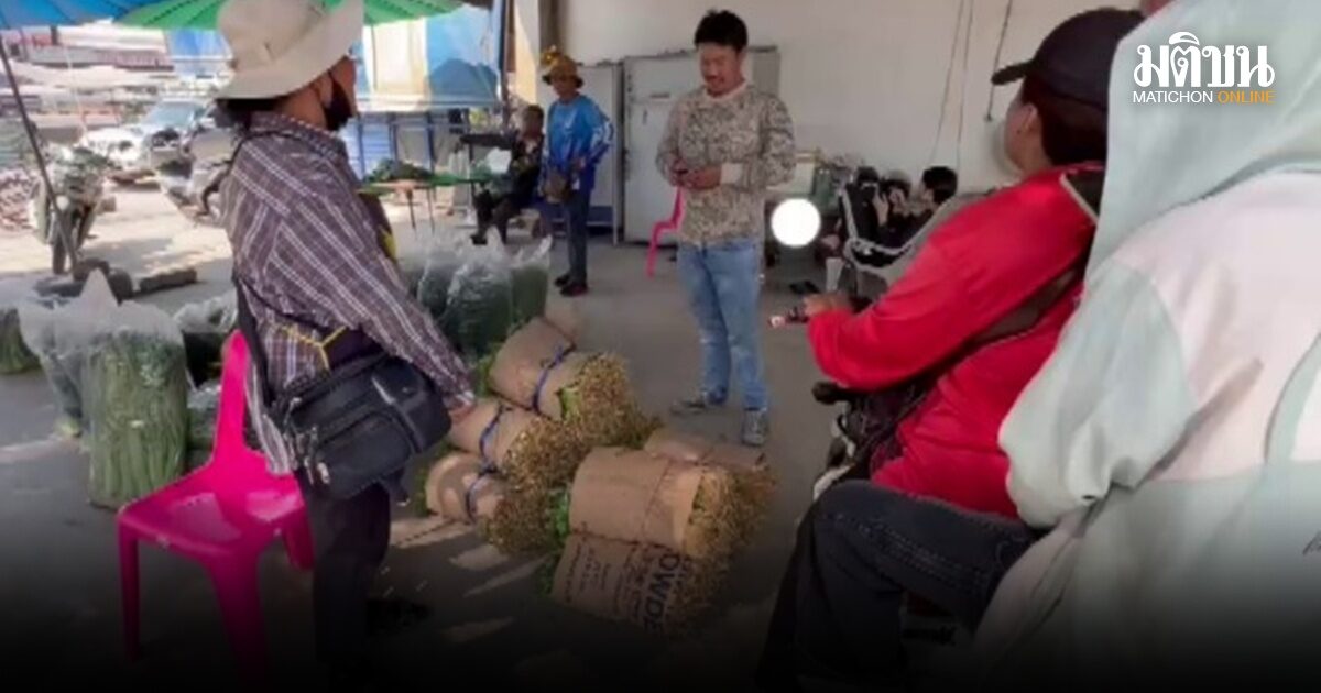 ‘ผักล้นตลาด’ น้ำมันแพงทำพิษ ฉุดราคาดิ่ง เกษตรกรถึงขั้นไถทิ้ง-รีบขายคืนทุน