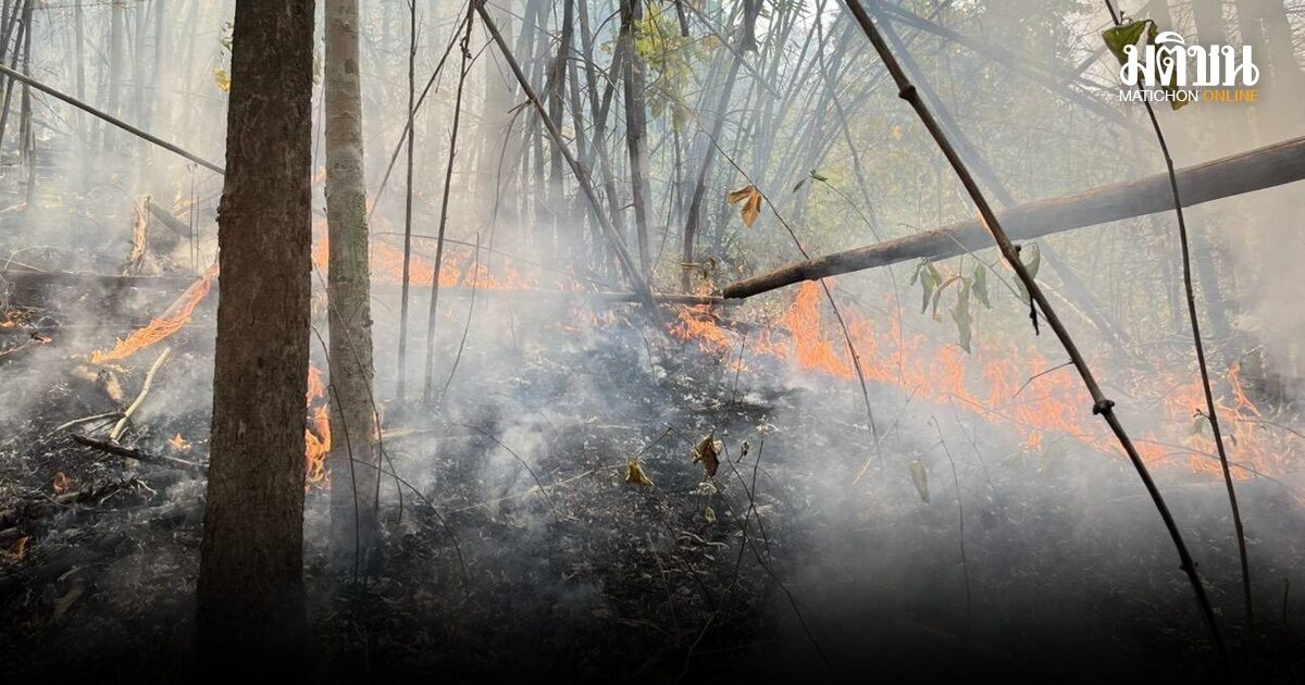 เชียงใหม่วันนี้ Hot Spot พุ่ง 378 จุดตั้งแต่เช้า เตือนประชาชนสวมแมสก์ – สังเกตอาการผิดปกติ