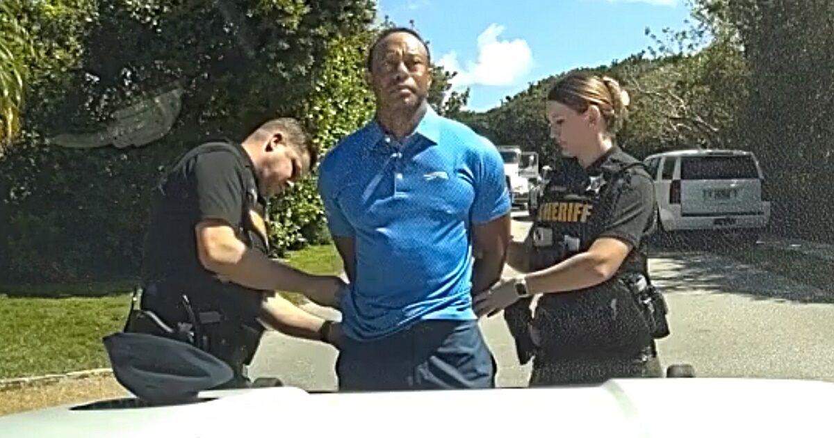 เผยภาพจากกล้อง จนท. ขณะจับกุมไทเกอร์ หลังอุบัติเหตุรถคว่ำ