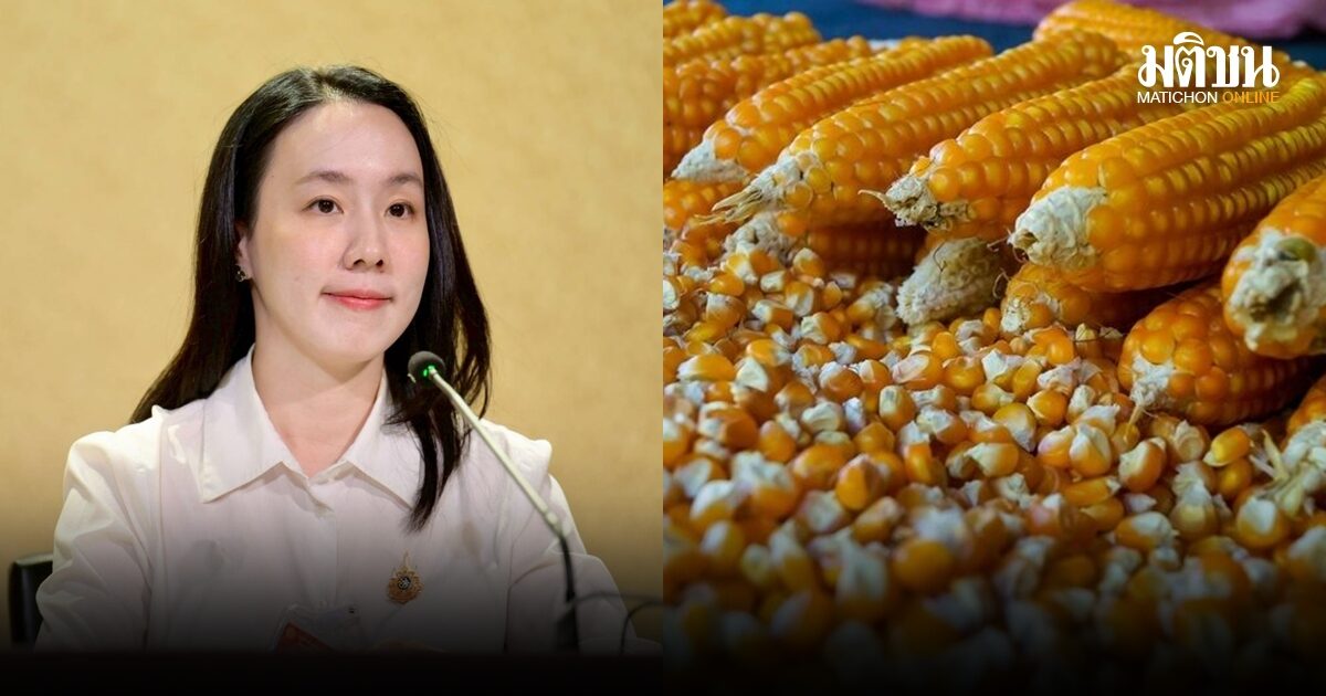 รัฐบาลเผย พณ.เข้มวัดความชื้นข้าวโพด เริ่ม 8 พ.ค.นี้ ยกระดับซื้อขายเป็นธรรม