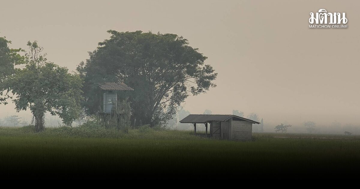เชียงรายวิกฤต ฝุ่นPM2.5 เกินเกณฑ์ ชาวบ้านไร้ทางเลือก ต้องทำงานกลางหมอกควันหนา