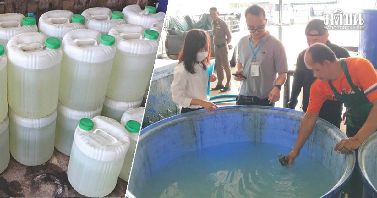 สมุทรสงคราม บุกจับ 2 ล้งทำ น้ำมะพร้าวปลอม ใช้น้ำเปล่าผสมสารแต่งกลิ่น