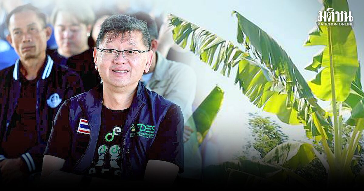 เรื่องกล้วยๆ ที่ไม่กล้วย…ของคนริมโขง ภูมิปัญญาท้องถิ่น ‘ใบตองสู่ ใบเงิน’