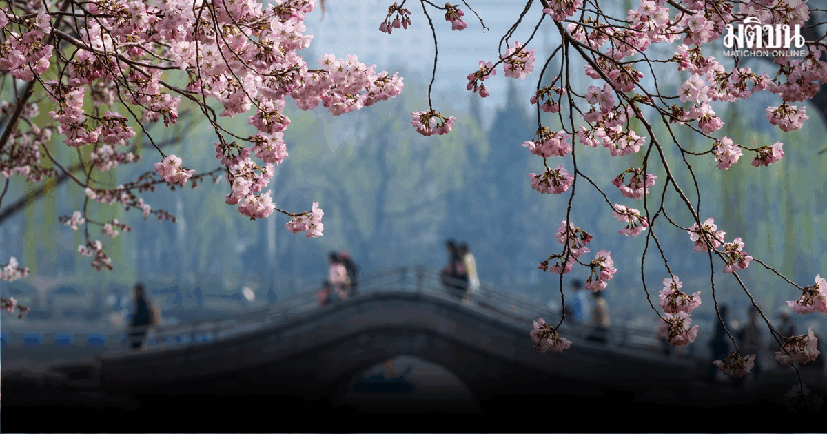 ทศวรรษที่ผ่านไปของข้อตกลงปารีส กับการสร้าง ‘จีนสวยงาม’ ของจีน