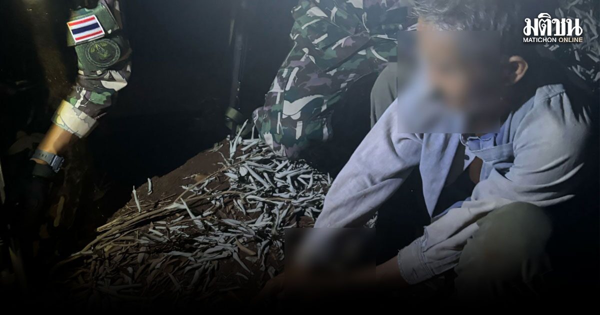 มท.ฮึ่ม! จับผู้บุกรุกป่าตอนตี 1 คุมเข้มแก้ไฟป่า – ฝุ่น PM2.5 เชียงใหม่